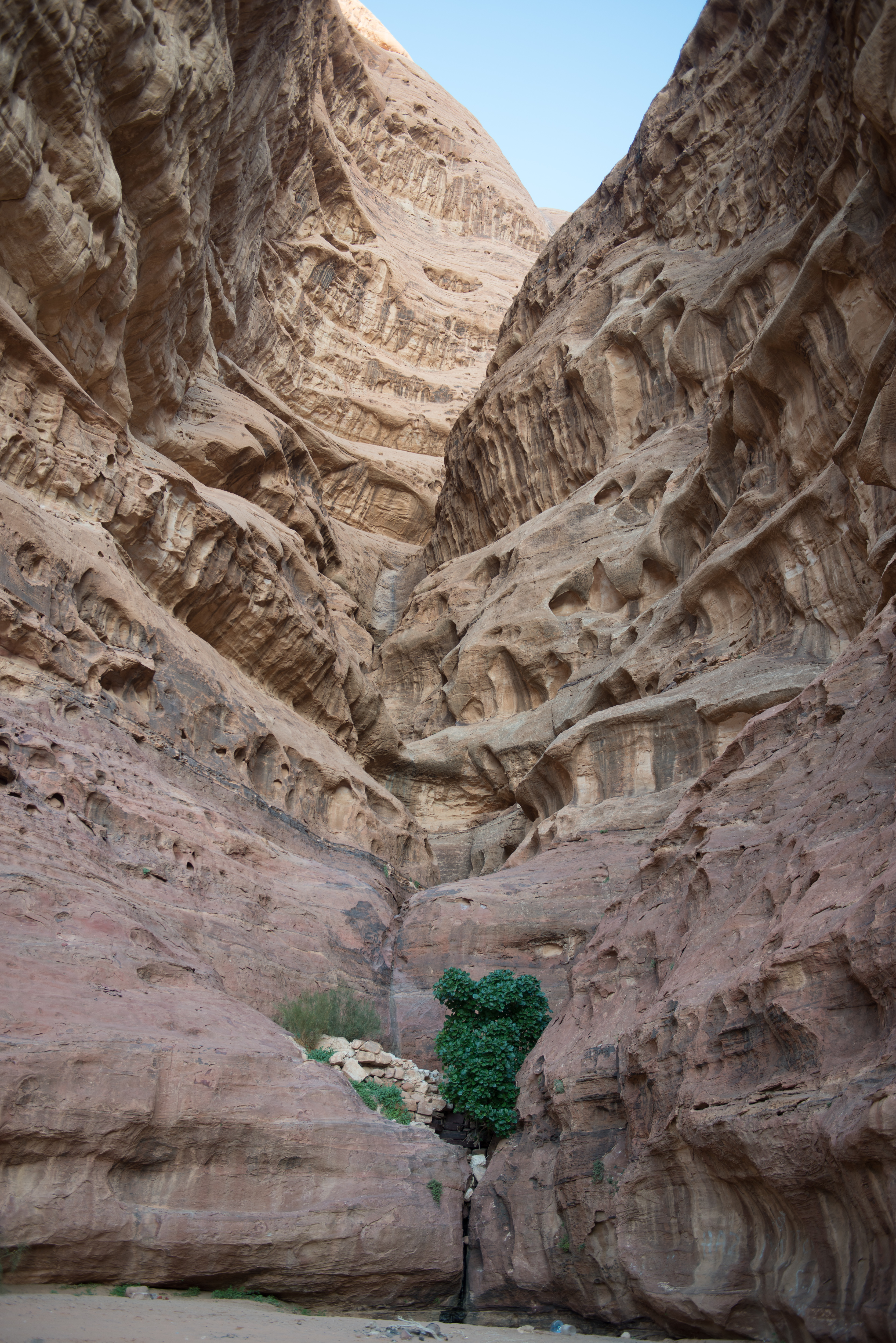 Wadi Rum-15